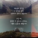 본질 티스토리