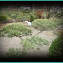 물처럼 바람처럼 이미지