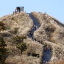 황매산군립공원 이미지