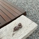 워시640 | 가평 춘천 감성숙소 물뭍 풀빌라 펜션 뭍4 객실 내돈내산 후기 (수영장, 조식)