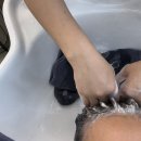 행복머리염색방 | 청주 염색방 방서동 헤드스파 컬러드스파 청주방서점 후기