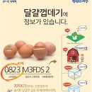 양구동물복지농장(주) 이미지