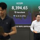 ‘금을 팔고 레버리지를 사는’… 두 가지 선택이 있는 도박장이 된 한국 증권시장 이미지