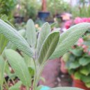 대륙허브 이미지