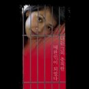 The Pet 이미지