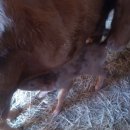 금란농장 이미지