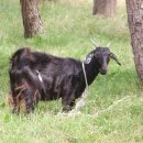 지구농장 이미지