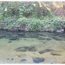 성화당구장 이미지