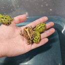 한종농장 이미지