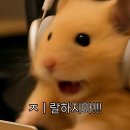 와인ZIP