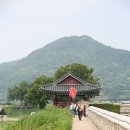 이향무늬동백전시판매장 | 예전엔 미처 몰랐어요, 여름철 강진