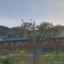 남해보물섬민박 이미지