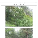 초읍동-04 이미지