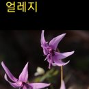 산수갑산펜션