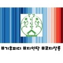 코지수다
