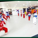 강호태권도 이미지