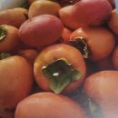 황성농장 이미지