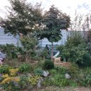 청암가든 이미지