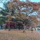 옥상파티 이미지