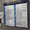 고운맘의원 네이버블로그