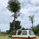 벽산목장 이미지