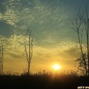 도시의 아침 이미지