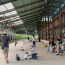 붕붕카매니아 이미지