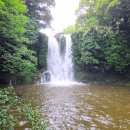 녹산농원 이미지