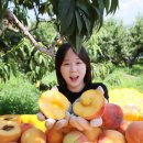 임실군조합공동사업법인 이미지