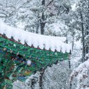 여기 모르면 주말 내내 방콕! 가족, 연인, 친구 모두 행복한 서울 겨울에 가볼 만한 곳 총정리 이미지