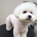 늘 예쁘개 네이버블로그