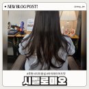 자쓰리미용실 | 가정동 미용실 하이 레이어드 컷 시벨로미오