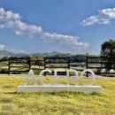 아체로7 이미지