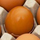 삼닭농장 이미지