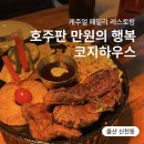 신천코지 이미지