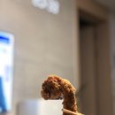 치킨더홈(상모점) 네이버블로그