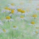 축령산자연요양원