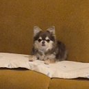 밍글몽글 이미지