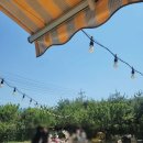 견사무소 호텔 유치원 이미지