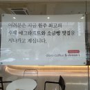 청연재 | [원주 카페] “도로커피 청연재” | 소금빵·에그타르트 & 시그니처 커피 후기