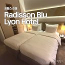 만물쇼핑센타 | 프랑스 리옹 호텔 숙소 추천 : 래디슨 블루 호텔 4성급 (Radisson Blu Lyon Hotel)