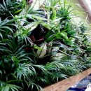 꿈누리유치원 이미지