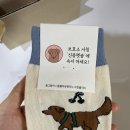 그린블리스제주 | 양말브랜드 누가 물어보면 나는 이거 딱 하나 그린블리스