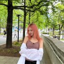 리즈 이미지