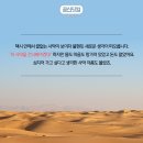 인생은알콜이야 이미지