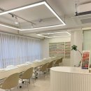 네일포시즌레푸스
