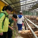 익산지역아동센터 이미지