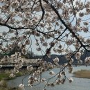 삼사해상공원 공연장 | 영덕현지인 픽, 영덕 봄나들이 명소 및 영덕 가볼만한 곳 추천. (sns에 나오는 뻔한 코스면 블로그...