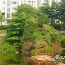 허준테마거리 이미지