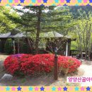 양양펜션산울림 이미지